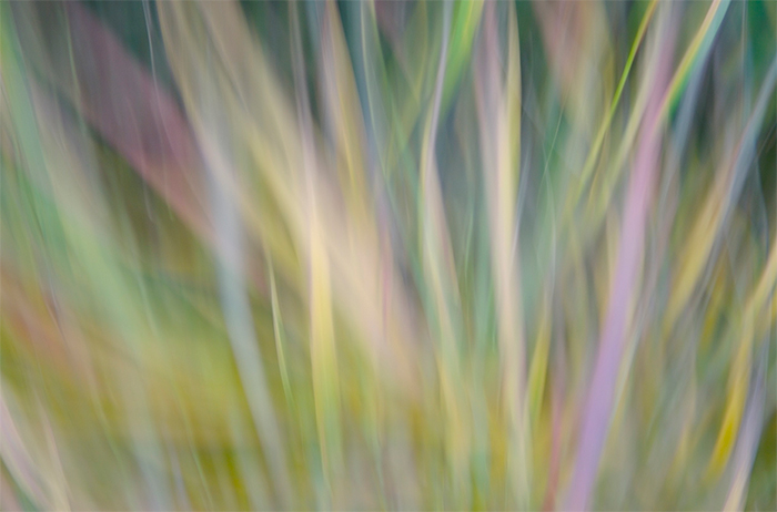 christine-duphenieux-portfolio-image-abstract-03