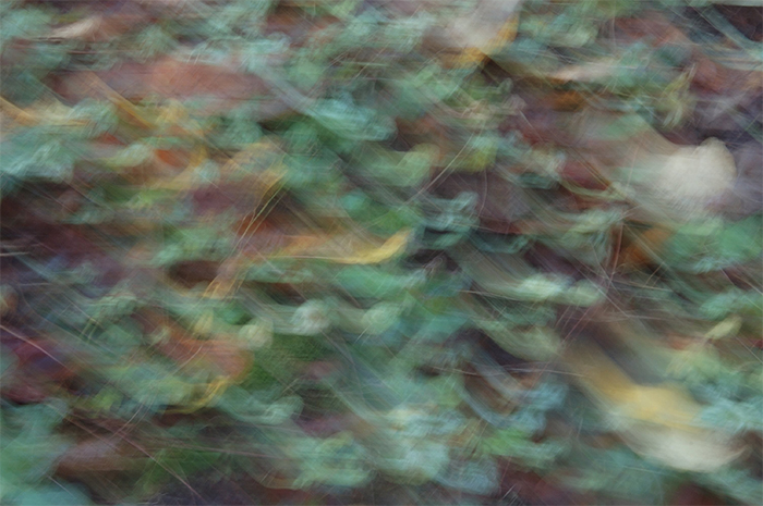 christine-duphenieux-portfolio-image-abstract-06